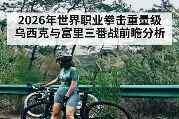 2026年世界职业拳击重量级乌西克与富里三番战前瞻分析